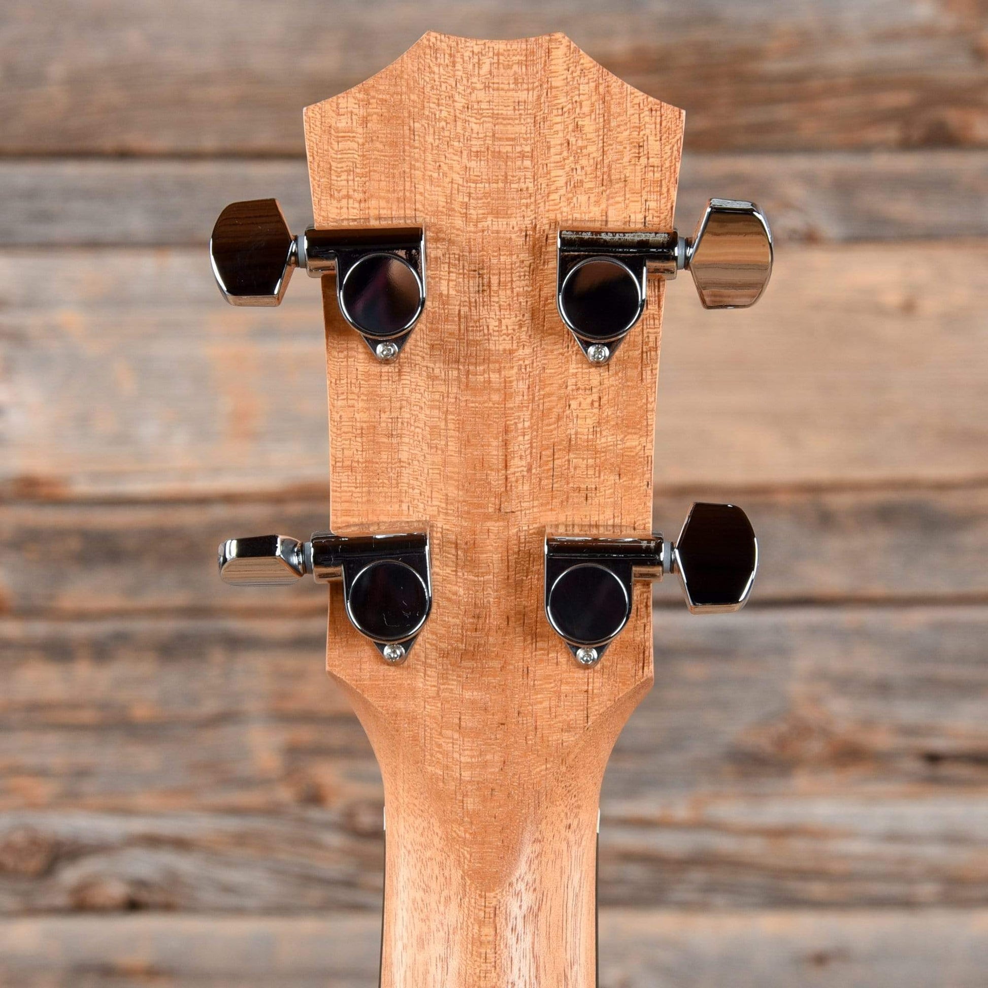 Taylor GS Mini-e Koa Bass ES2 Bass Guitars / Acoustic Bass Guitars