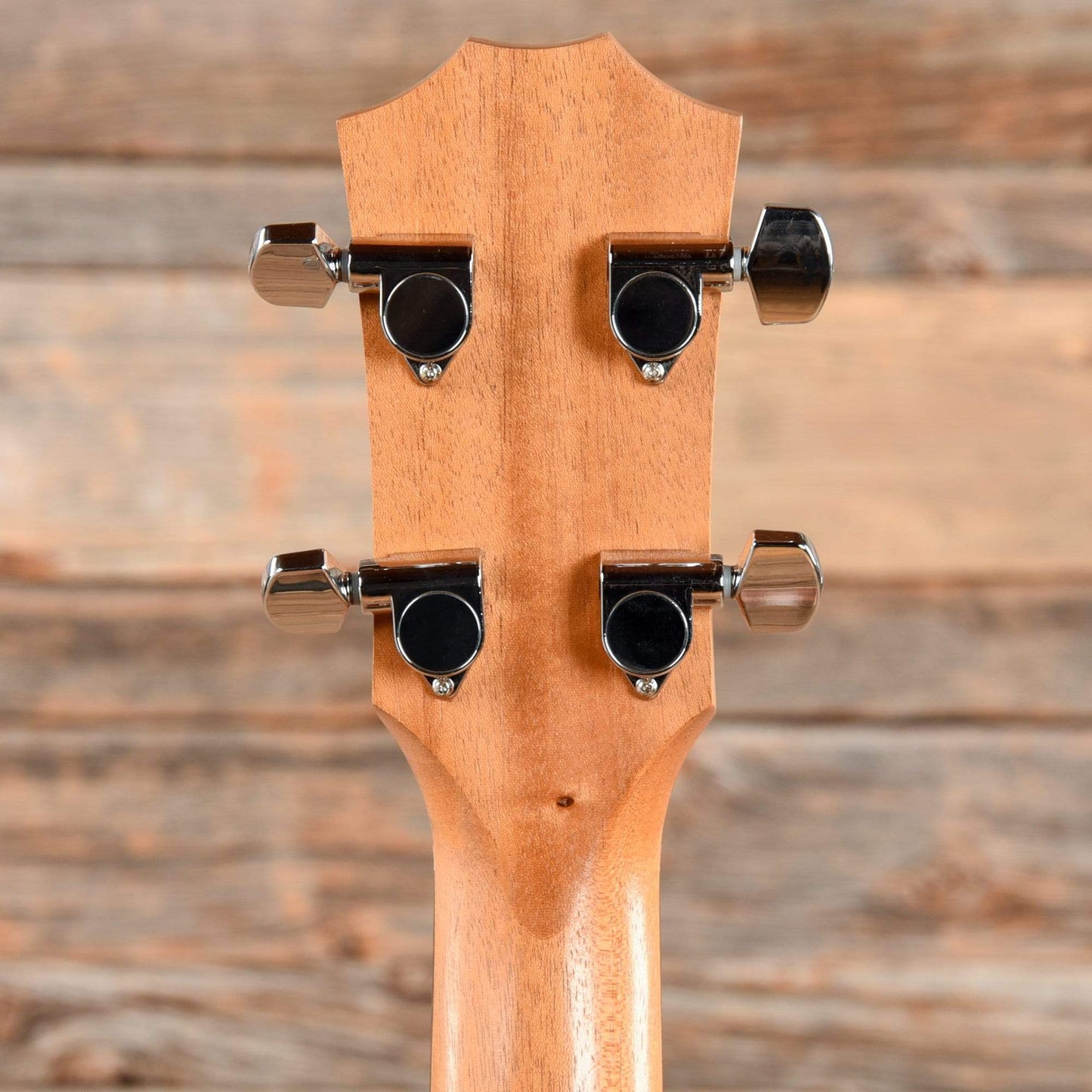 Taylor GS Mini-e Bass with ES-B Electronics Bass Guitars / Short Scale