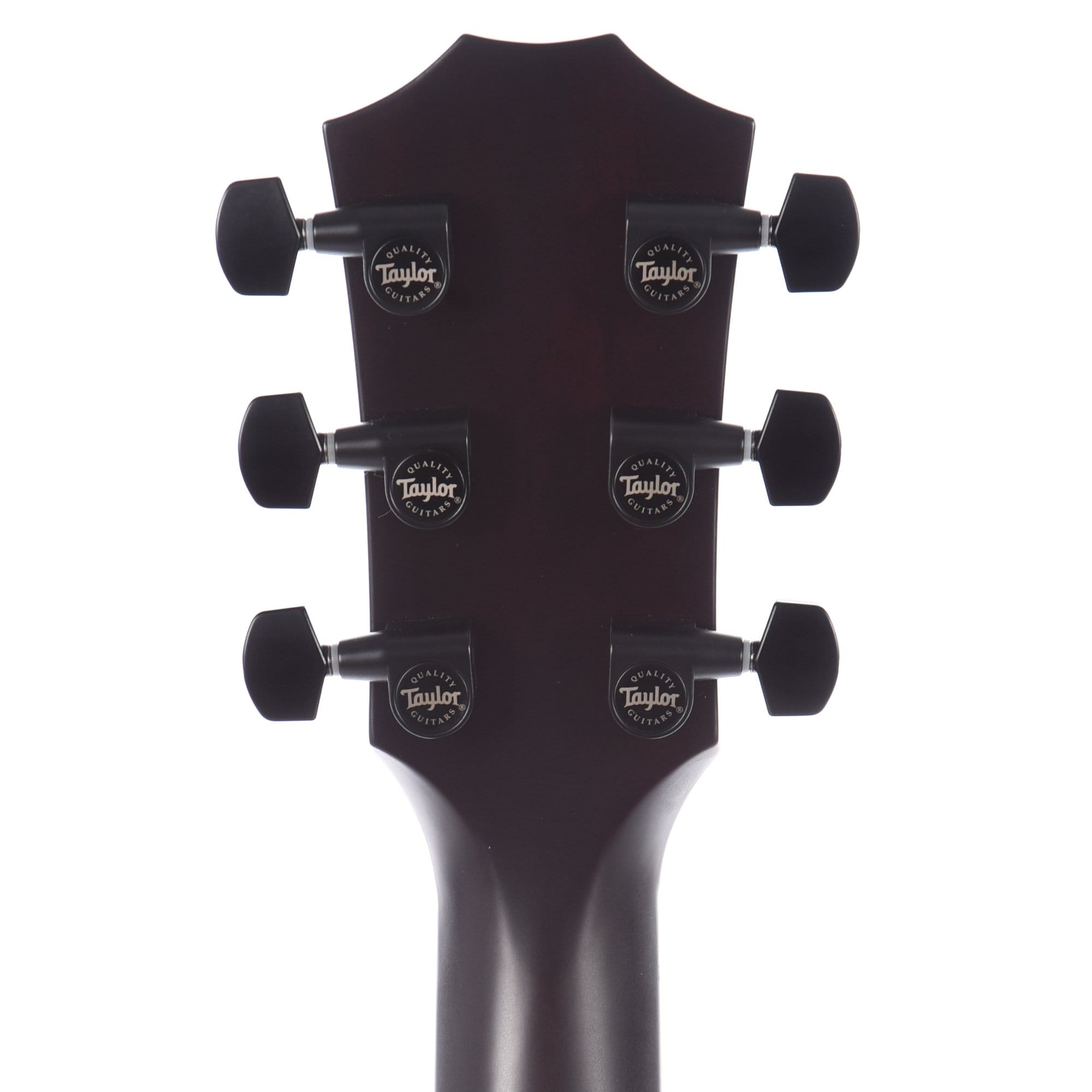 Taylor T5z Classic Sassafras Top Electric Guitars / Hollow Body