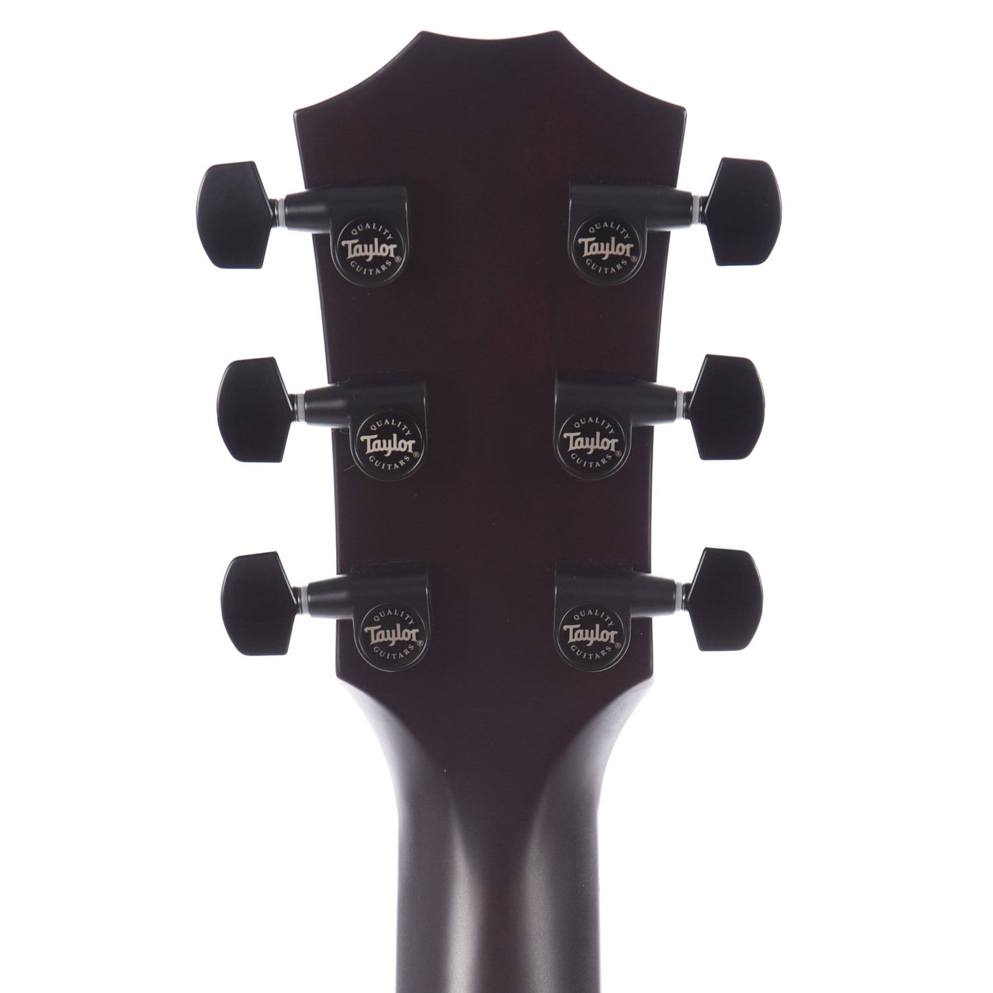 Taylor T5z Classic Sassafras Top Electric Guitars / Hollow Body