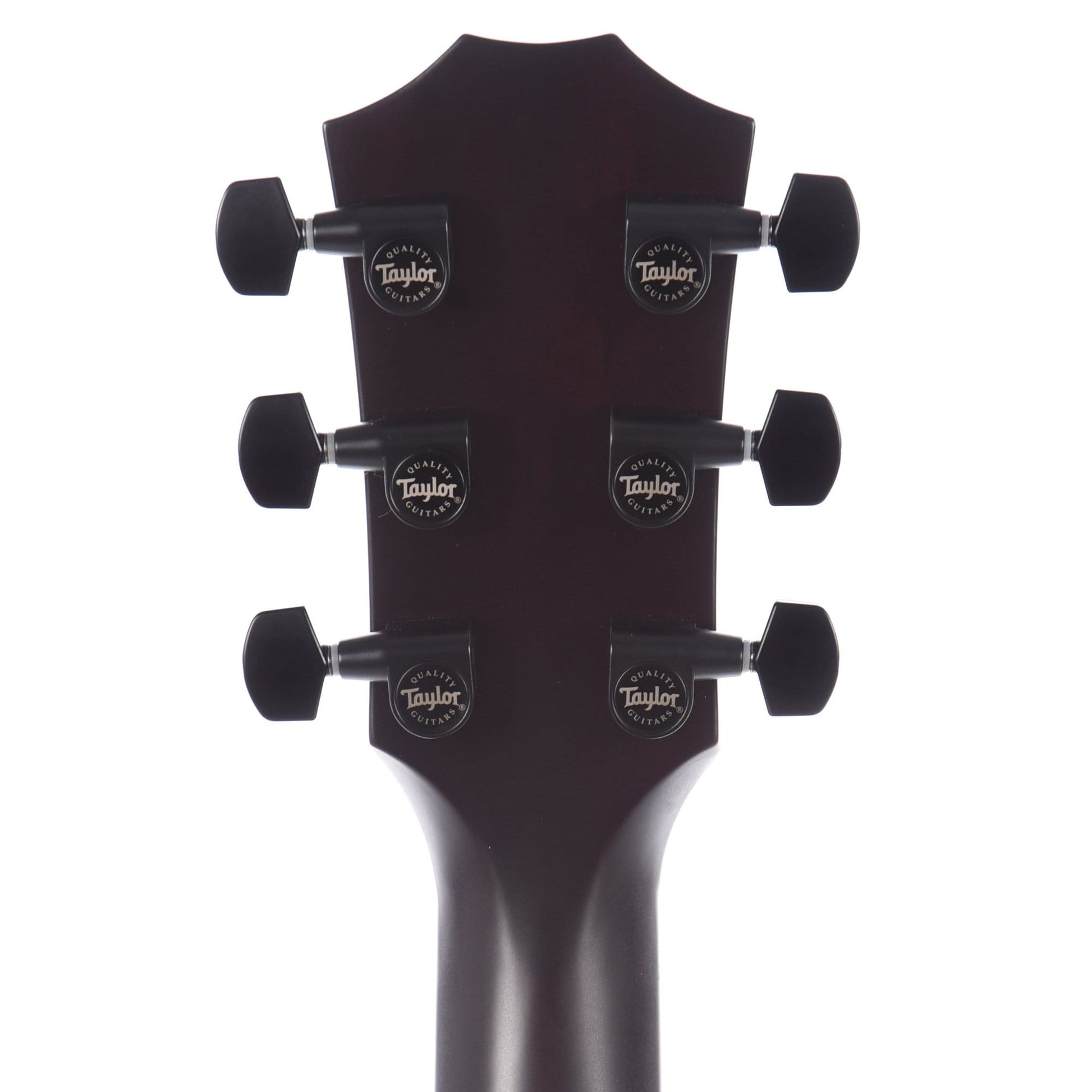 Taylor T5z Classic Sassafras Top Electric Guitars / Hollow Body