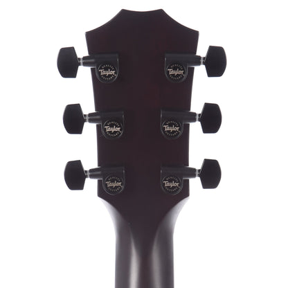 Taylor T5z Classic Sassafras Top Electric Guitars / Hollow Body