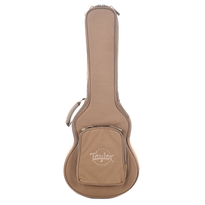Taylor T5z Classic Sassafras Top Electric Guitars / Hollow Body