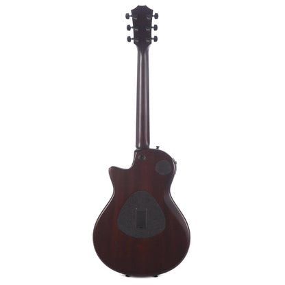 Taylor T5z Classic Sassafras Top Electric Guitars / Hollow Body