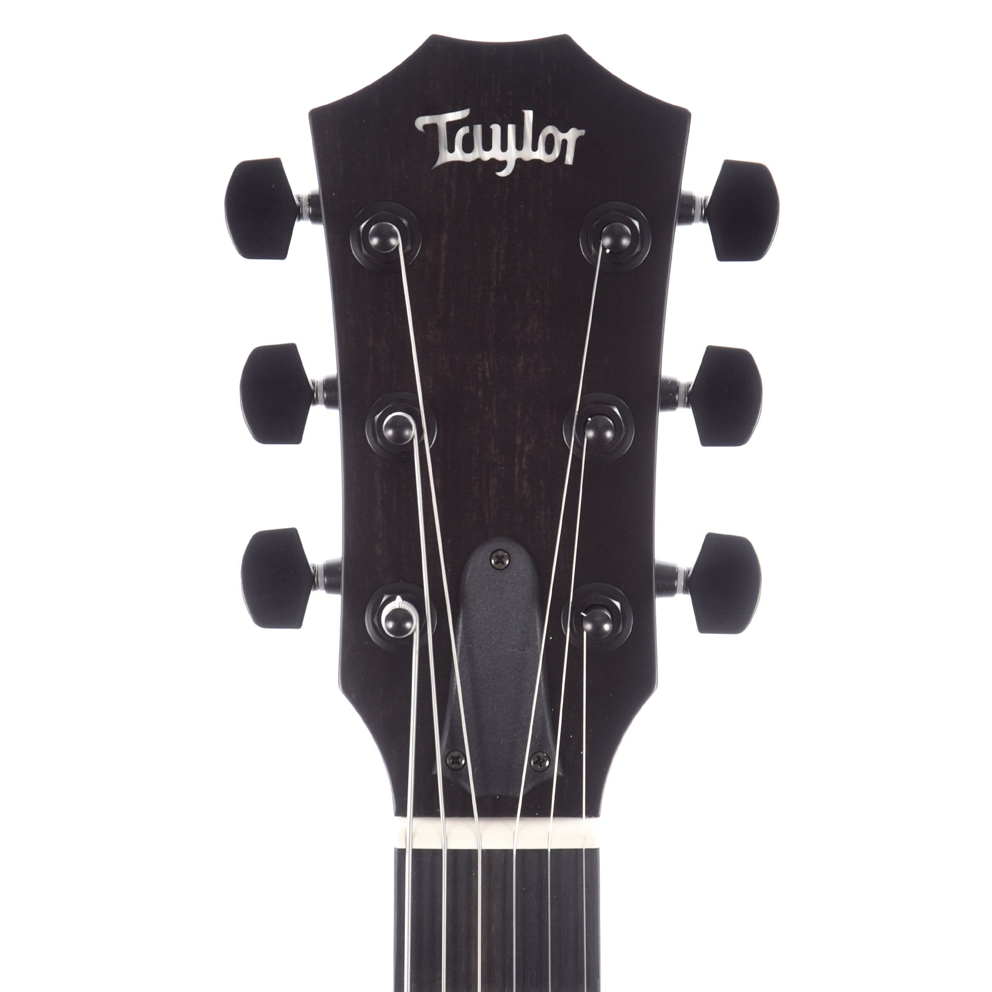 Taylor T5z Classic Sassafras Top – Chicago Music Exchange