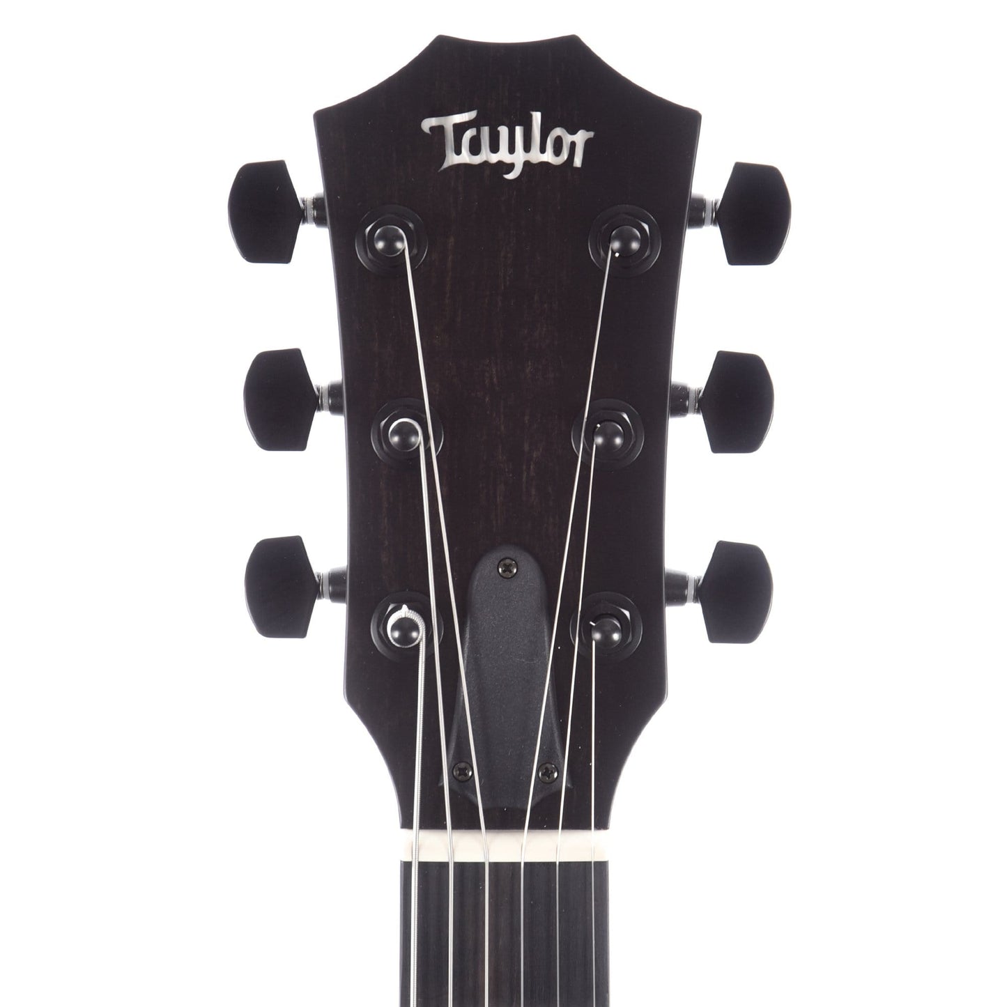 Taylor T5z Classic Sassafras Top Electric Guitars / Hollow Body