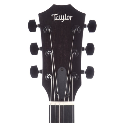 Taylor T5z Classic Sassafras Top Electric Guitars / Hollow Body