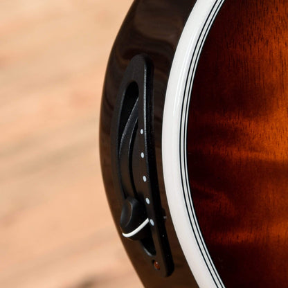 Taylor T5z Custom Koa Shaded Edgeburst Electric Guitars / Semi-Hollow