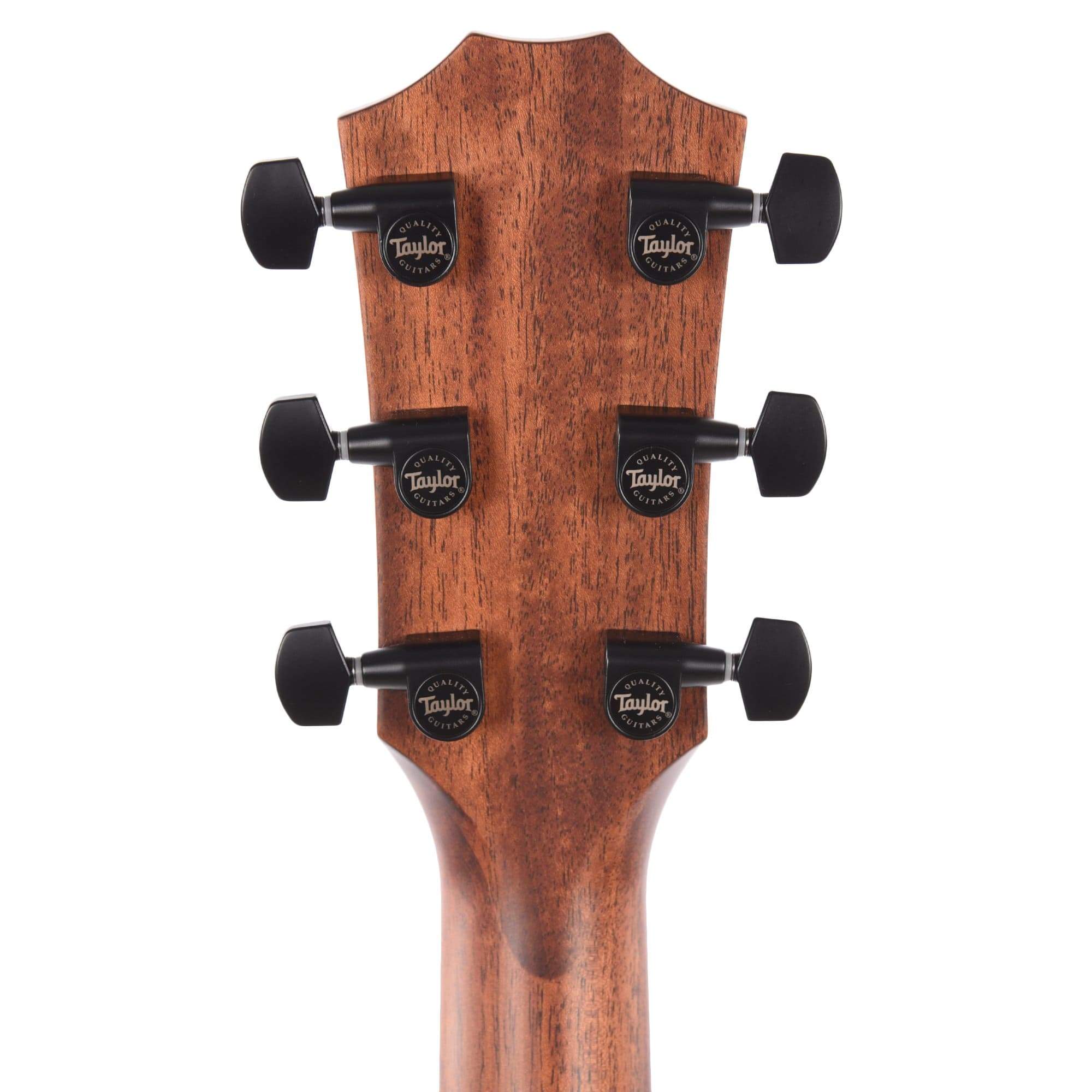 Taylor 314ce LTD Grand Auditorium Sitka/Quilted Sapele Edgeburst