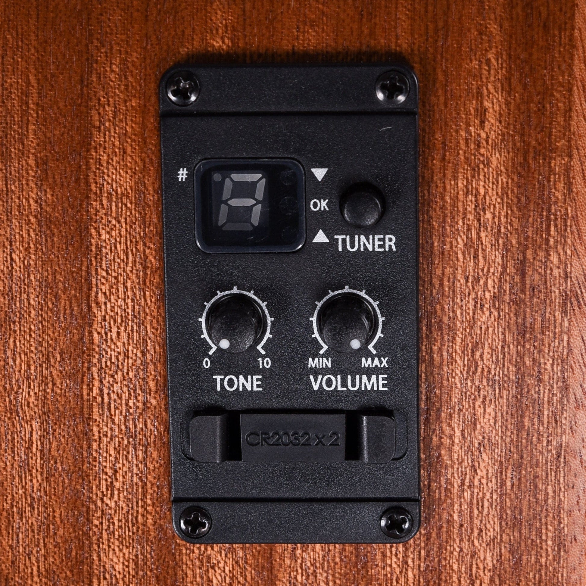 Taylor BT2e Baby Mahogany w/Electronics