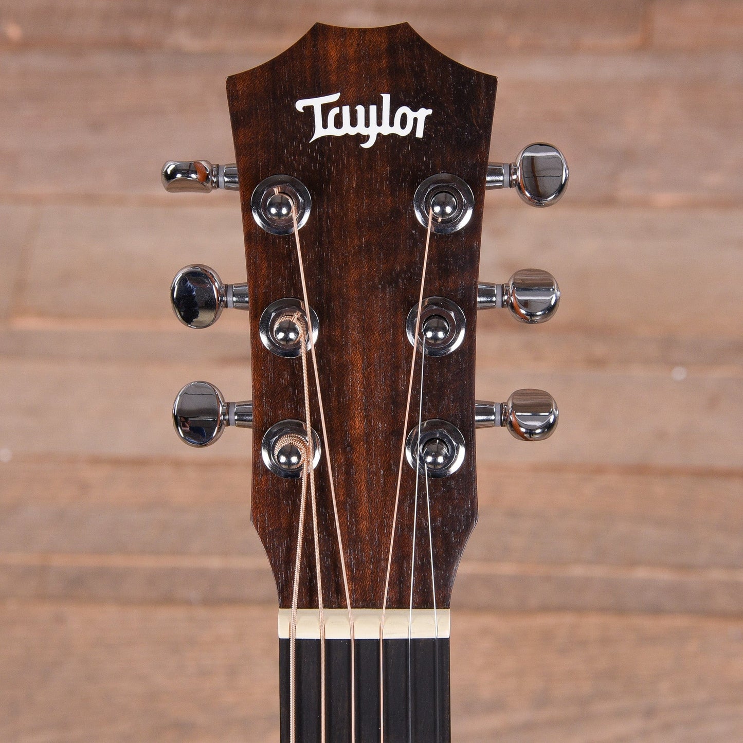 Taylor BT2e Baby Mahogany w/Electronics