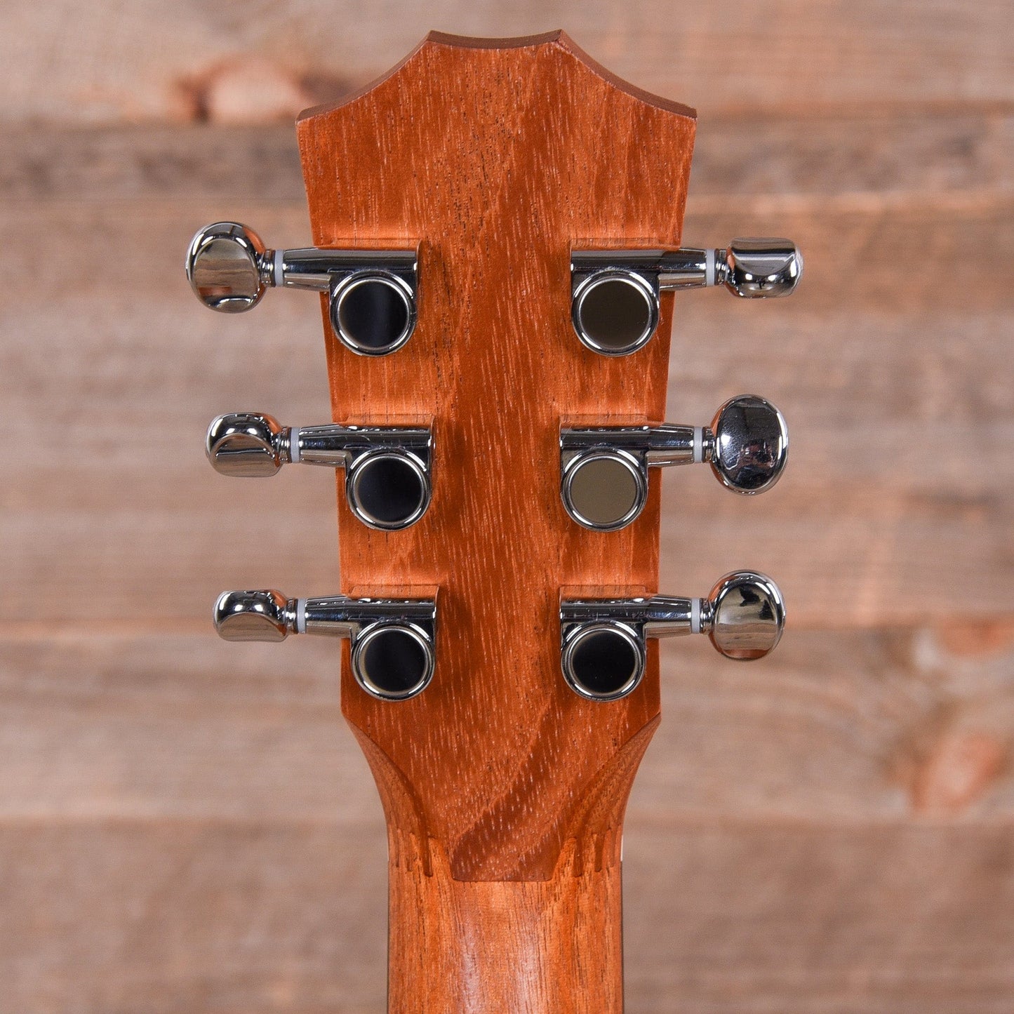 Taylor BT2e Baby Mahogany w/Electronics