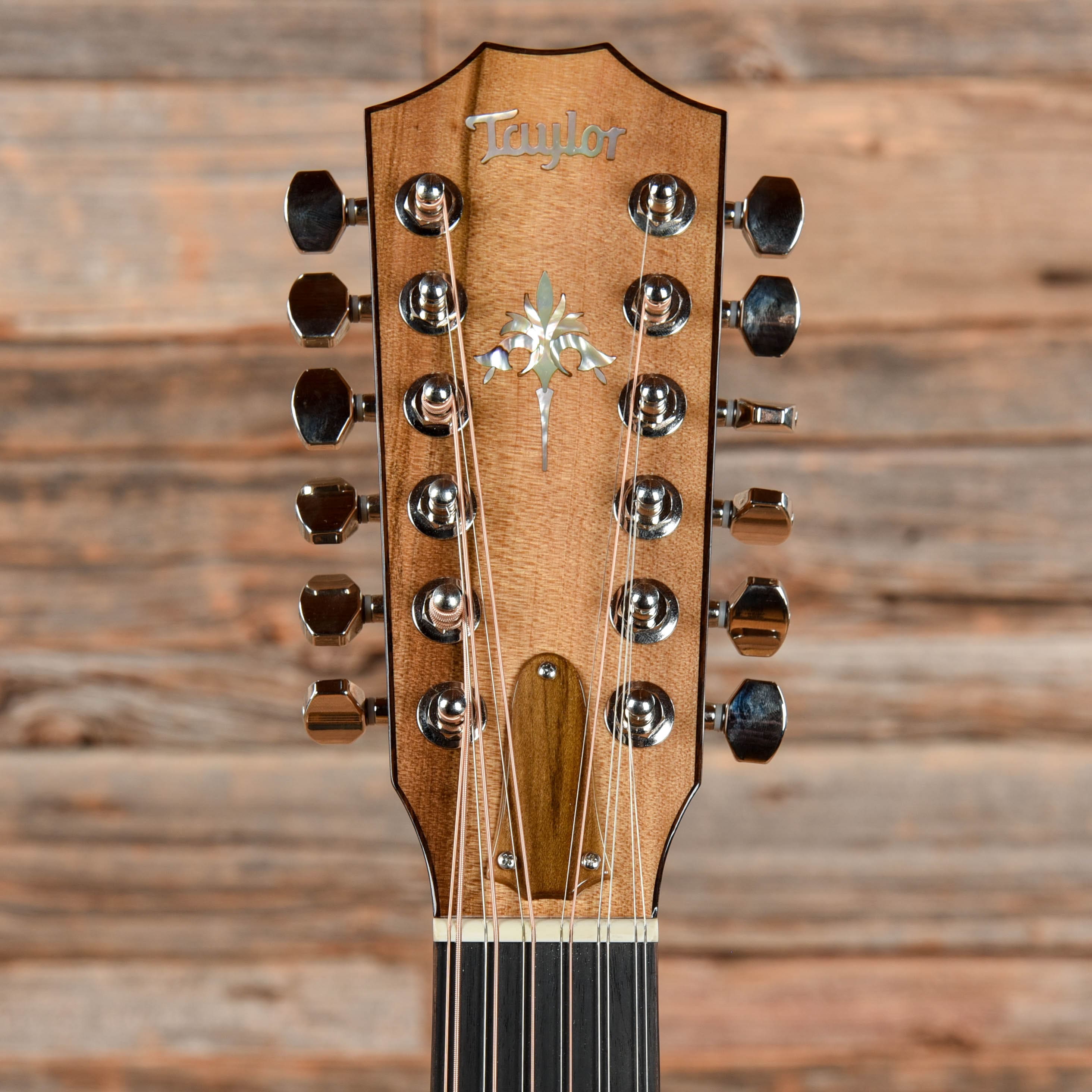 Taylor Custom Grand Auditorium 12 String Natural 2012
