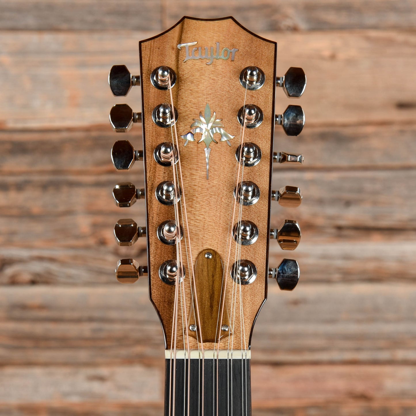 Taylor Custom Grand Auditorium 12 String Natural 2012