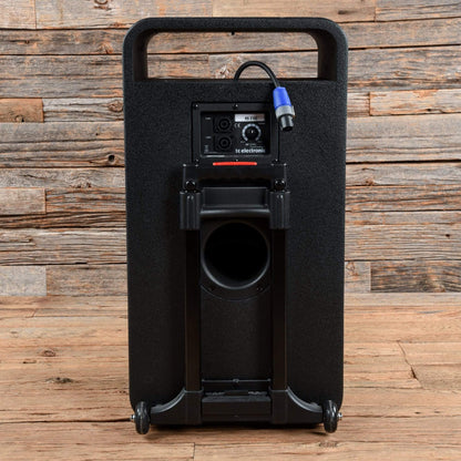 TC Electronic RS210C Bass Cabinet Amps / Bass Cabinets