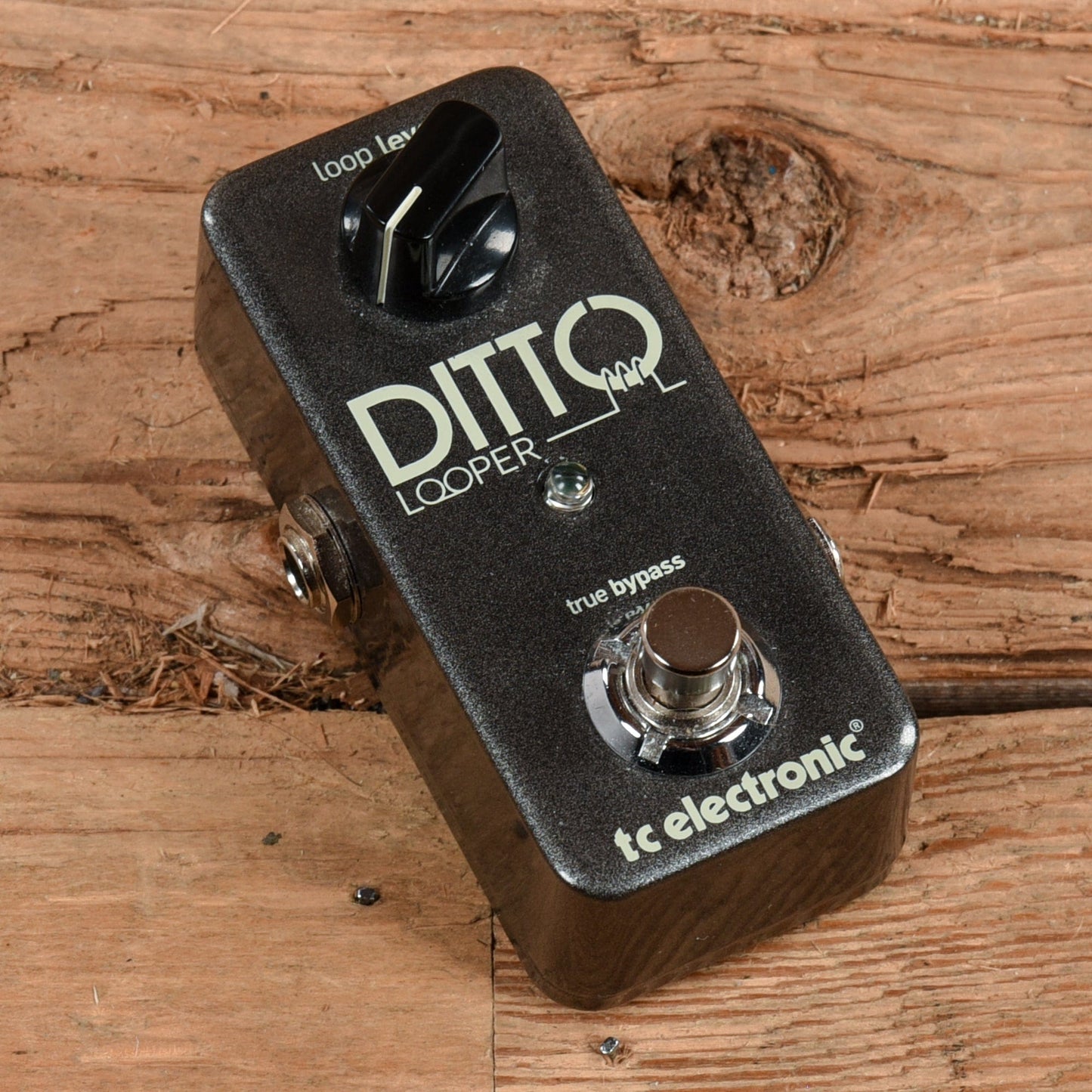 TC Electronic Ditto Looper Effects and Pedals / Loop Pedals and Samplers