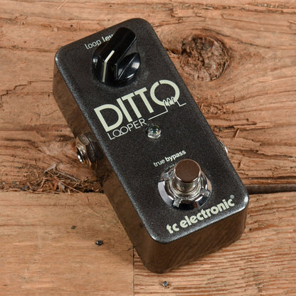 TC Electronic Ditto Looper Effects and Pedals / Loop Pedals and Samplers