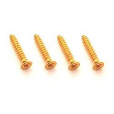 TV Jones EM2 Ring Screws (4 Pack) Gold Parts / Guitar Pickups