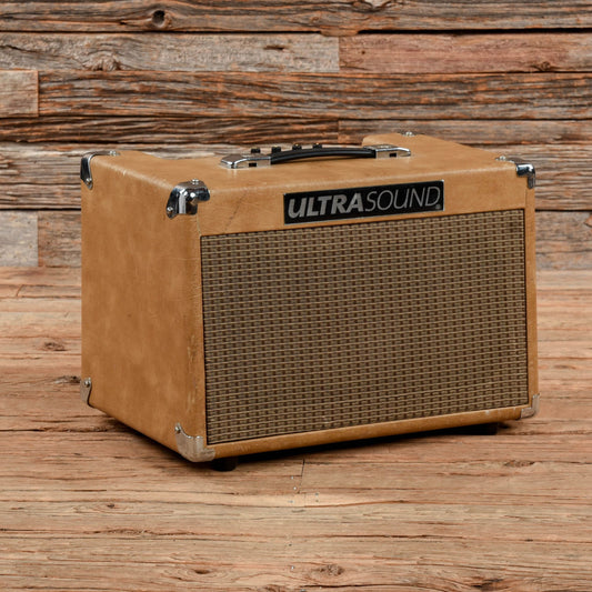 Ultra Sound AG 30 Amps / Acoustic Amps