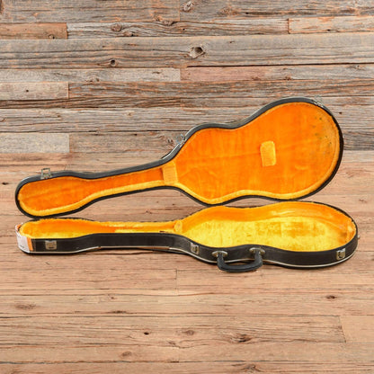 Univox Lucite Guitar Acrylic 1970s Electric Guitars / Solid Body