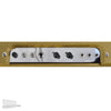 Victoria Ivy League 2x10 V-Front Custom Amp Amps / Guitar Combos