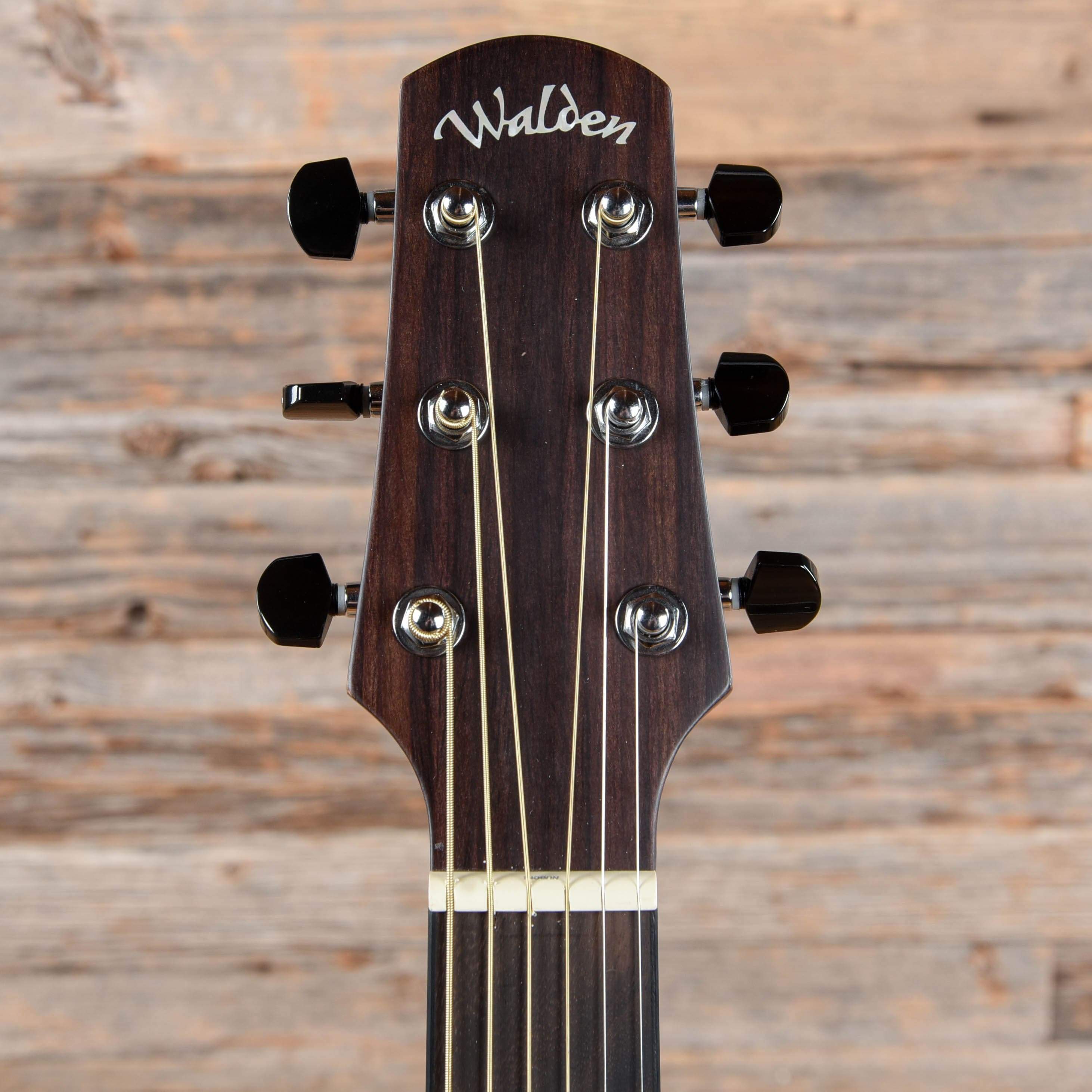 Walden G800CE Natural 2020 Acoustic Guitars / Concert