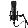 Warm Audio WA-87 R2 Large Diaphragm Condenser Microphone Black Pro Audio / Microphones