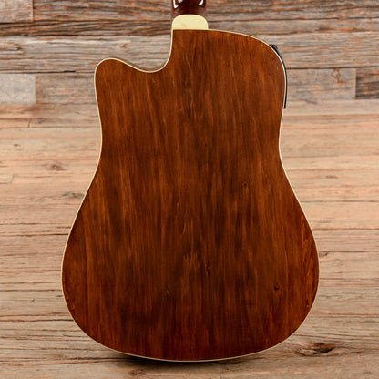 Washburn AG20CE Natural 1999 Acoustic Guitars / Dreadnought