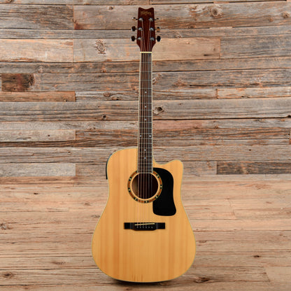 Washburn AG20CE Natural 1999 Acoustic Guitars / Dreadnought