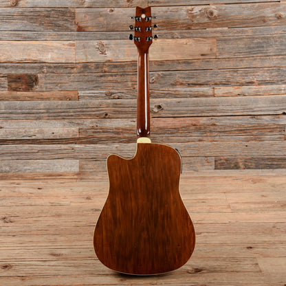 Washburn AG20CE Natural 1999 Acoustic Guitars / Dreadnought