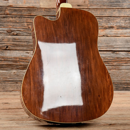 Washburn AG20CE Natural 1999 Acoustic Guitars / Dreadnought