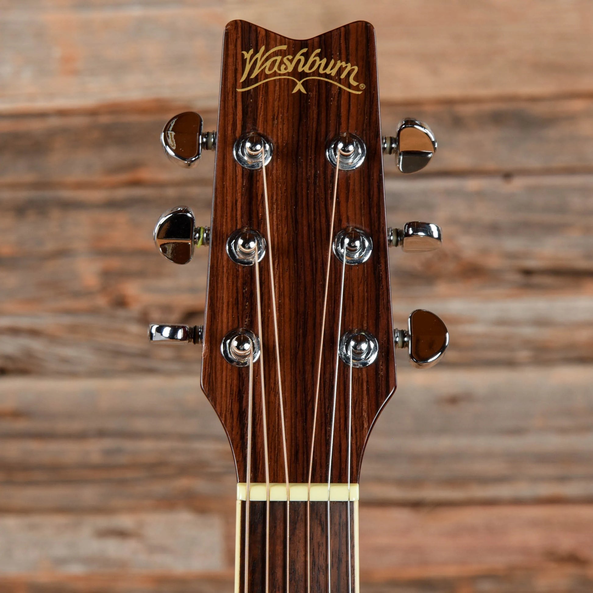 Washburn D10SCE Natural Acoustic Guitars / Dreadnought