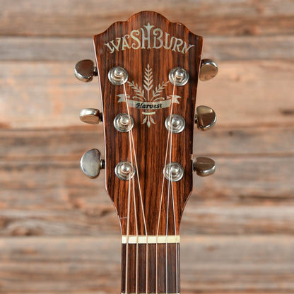 Washburn D42SW Natural Acoustic Guitars / Dreadnought