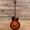 Washburn AB-20 Acoustic Bass Sunburst Bass Guitars / 4-String