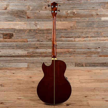 Washburn AB20 Sunburst Bass Guitars / 4-String