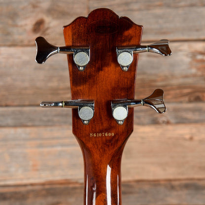 Washburn AB20 Sunburst Bass Guitars / 4-String