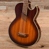Washburn AB-20 Acoustic/Electric Bass Sunburst Bass Guitars / 5-String or More