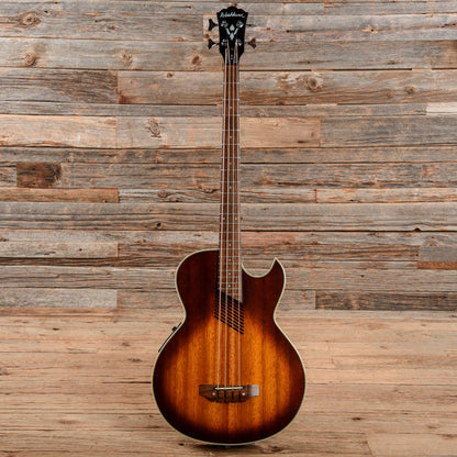Washburn AB-20 Acoustic/Electric Bass Sunburst Bass Guitars / 5-String or More