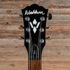 Washburn HB15CTSK Sunburst Electric Guitars / Hollow Body