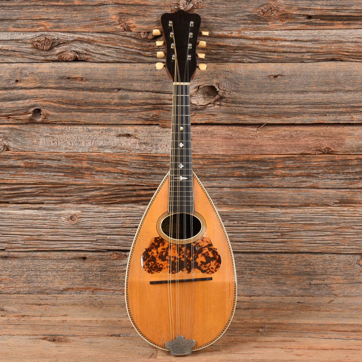 Washburn Cremonatone Natural 1900s Folk Instruments / Mandolins