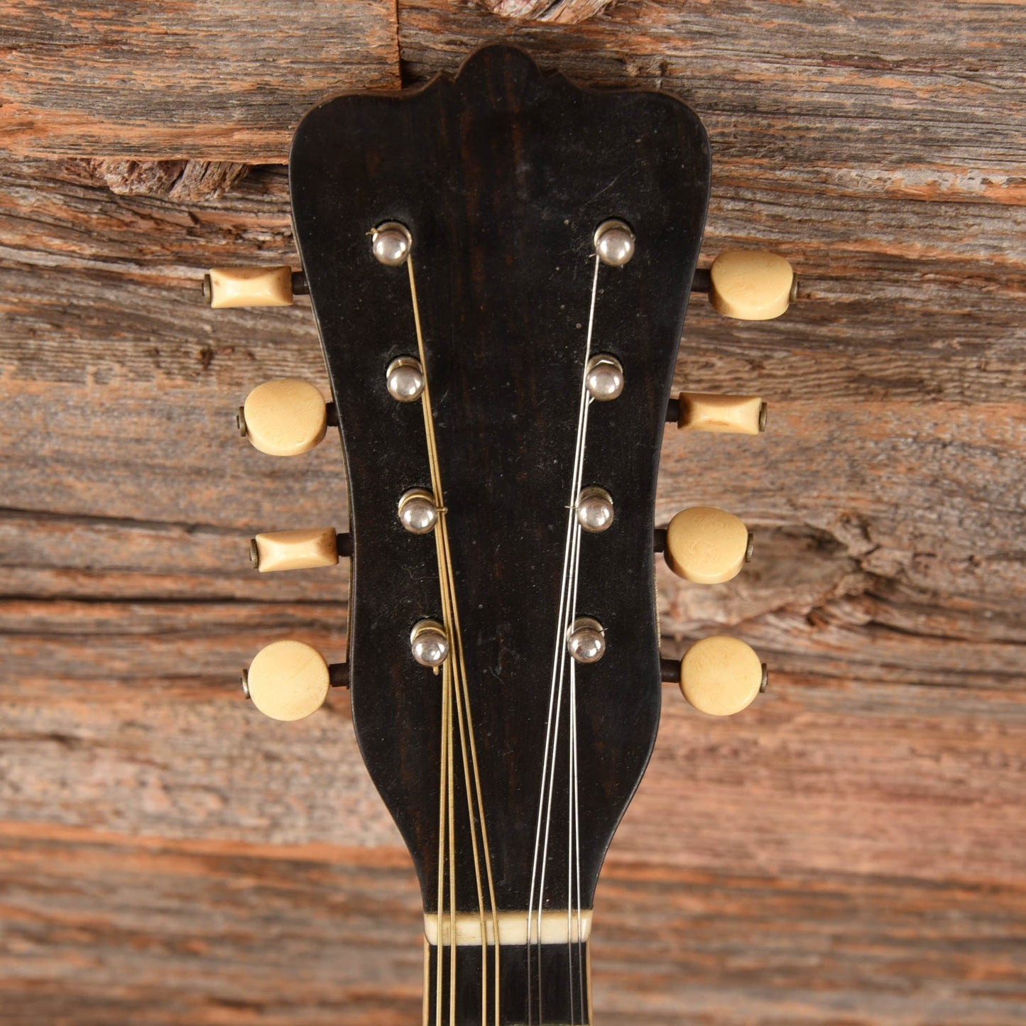 Washburn Cremonatone Natural 1900s Folk Instruments / Mandolins