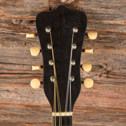 Washburn Cremonatone Natural 1900s Folk Instruments / Mandolins