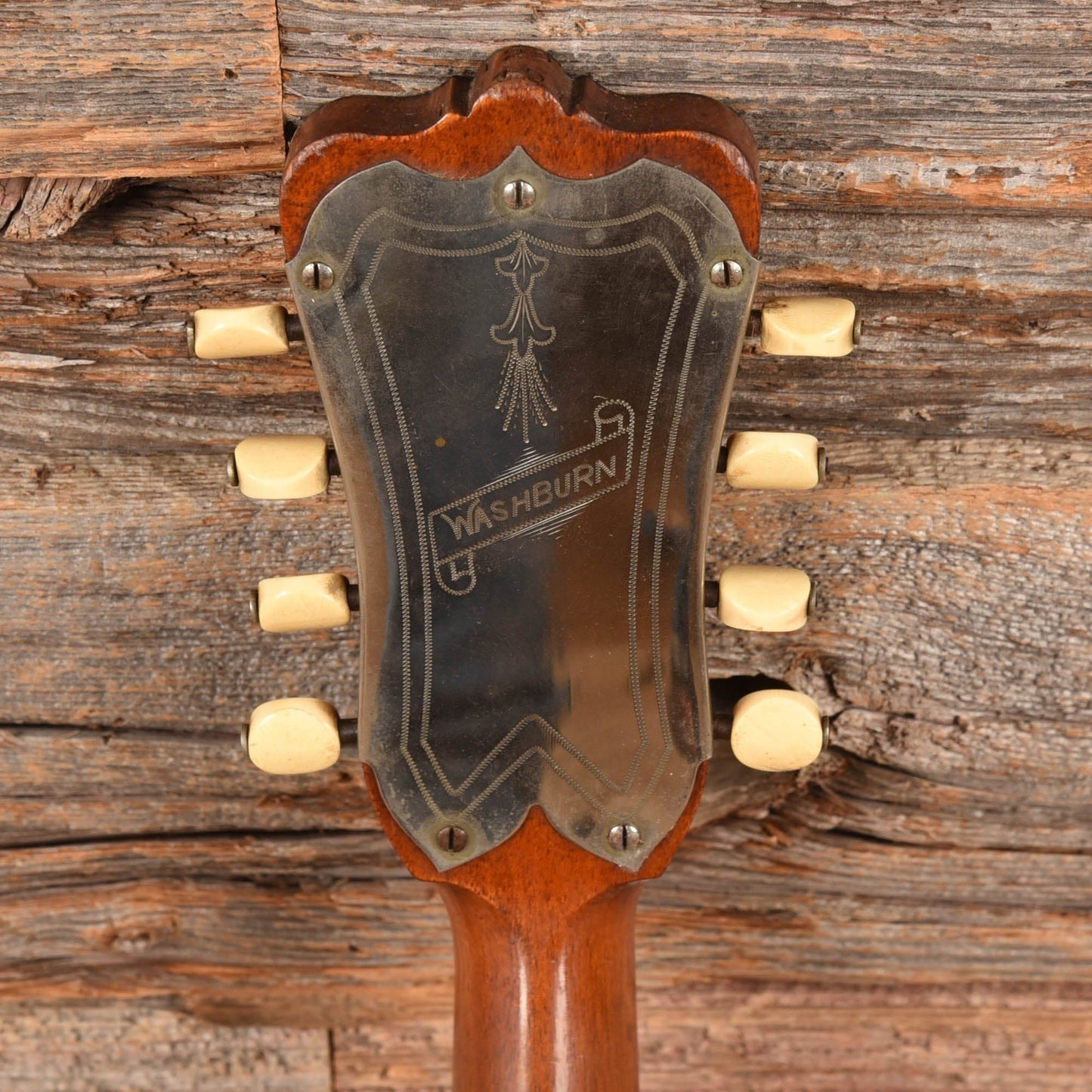 Washburn Cremonatone Natural 1900s Folk Instruments / Mandolins