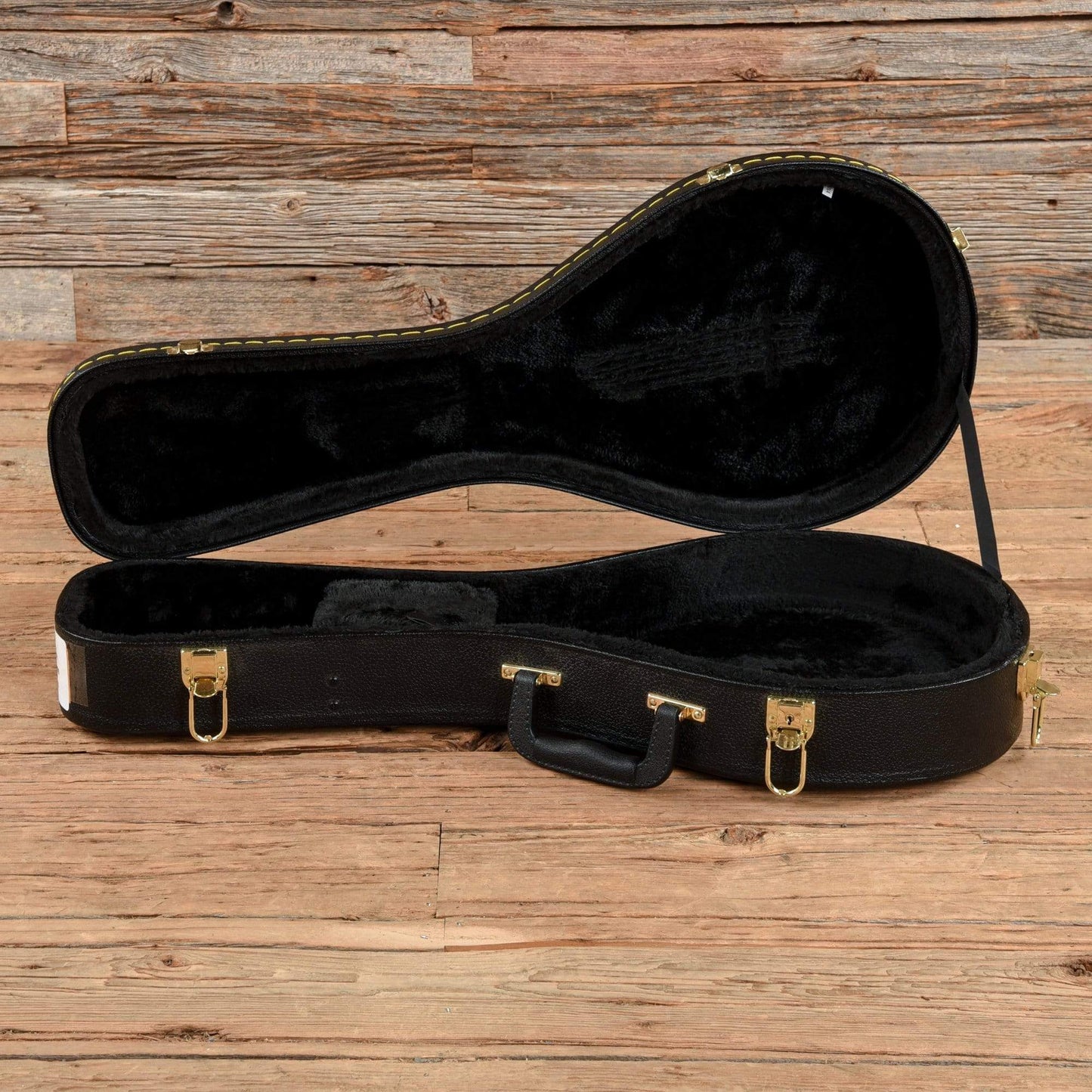 Washburn MISDL-TBL Mandolin Transparent Blue Folk Instruments / Mandolins