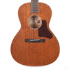 Waterloo WL-14 X Mahogany Acoustic Guitars / Parlor
