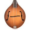 Weber Bitteroot A-20-F Octave Mandolin Faded Amber Burst w/F-Holes Folk Instruments / Mandolins