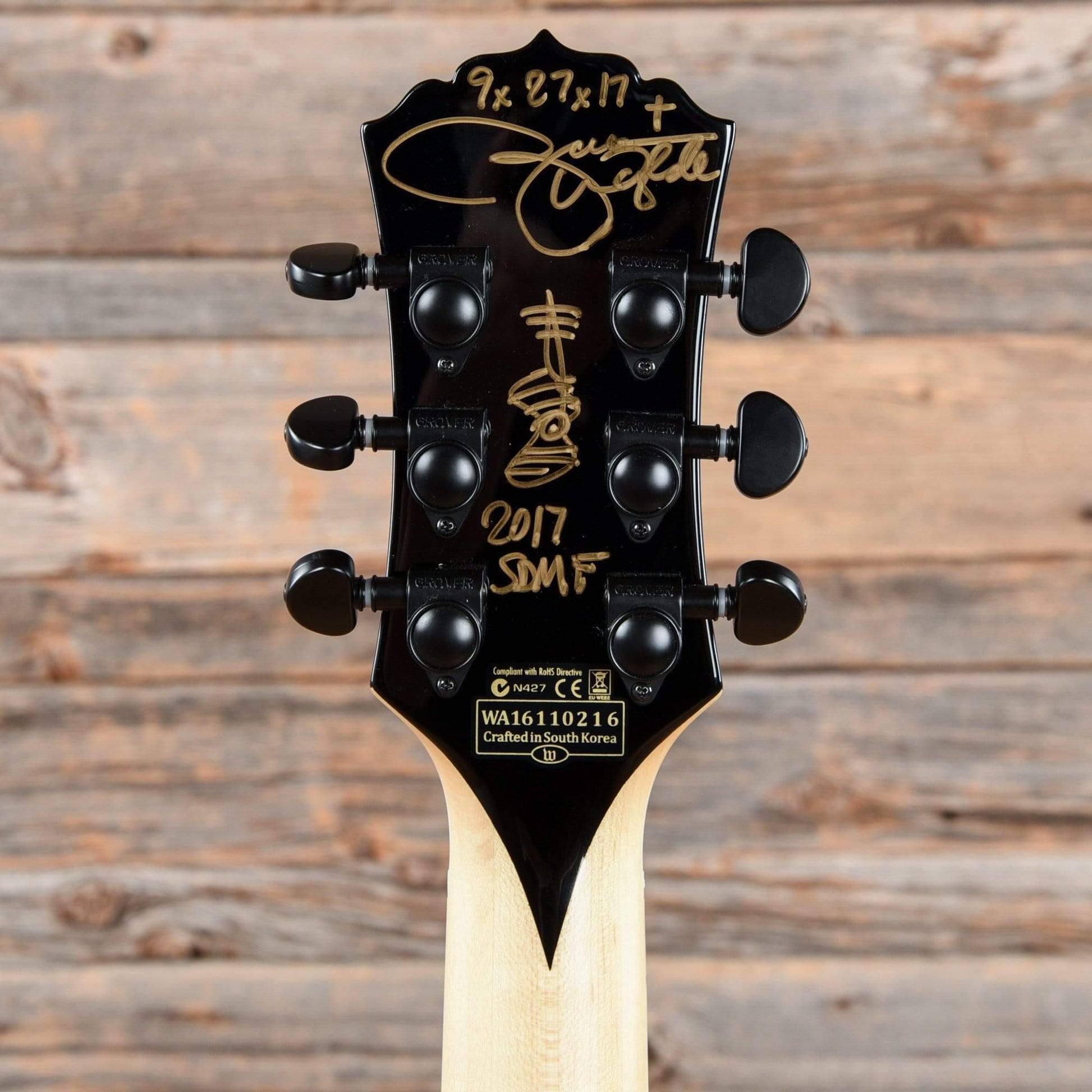 Wylde Audio Barbarian Raw Top Natural 2016 Electric Guitars / Solid Body