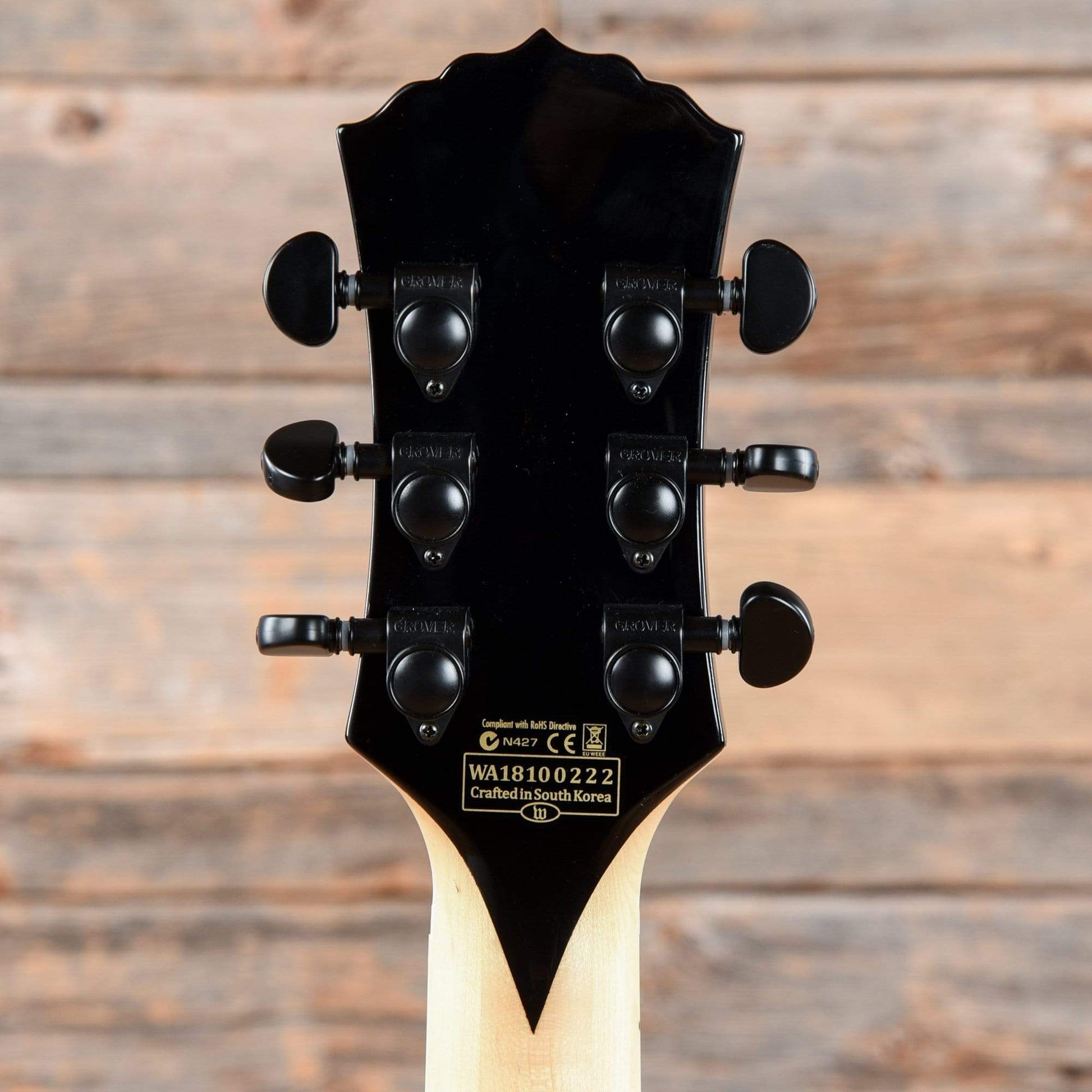 Wylde Audio Odin Grail Camo 2018 Electric Guitars / Solid Body