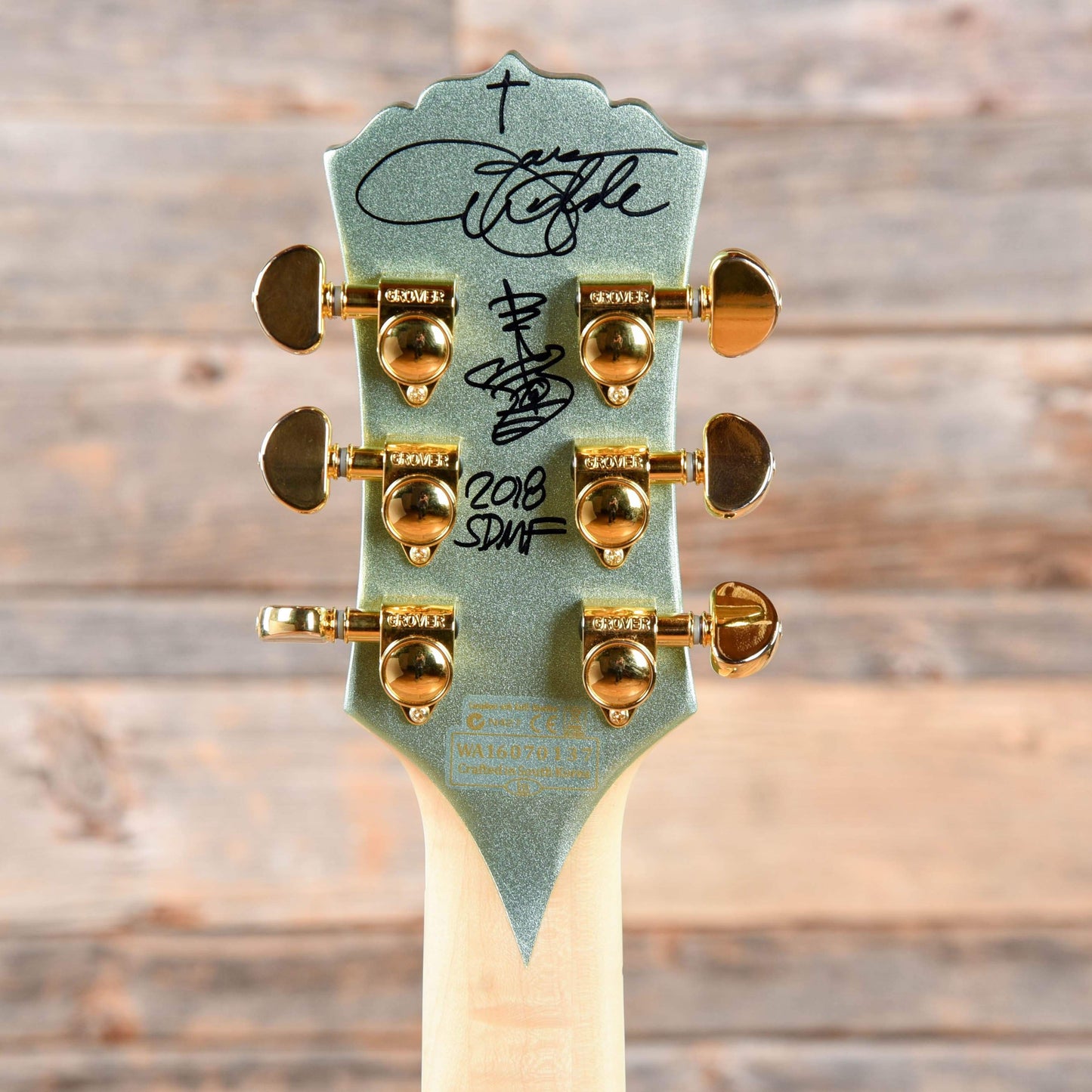 Wylde Audio Odin Grail (Signed) Gangrene 2016 Electric Guitars / Solid Body