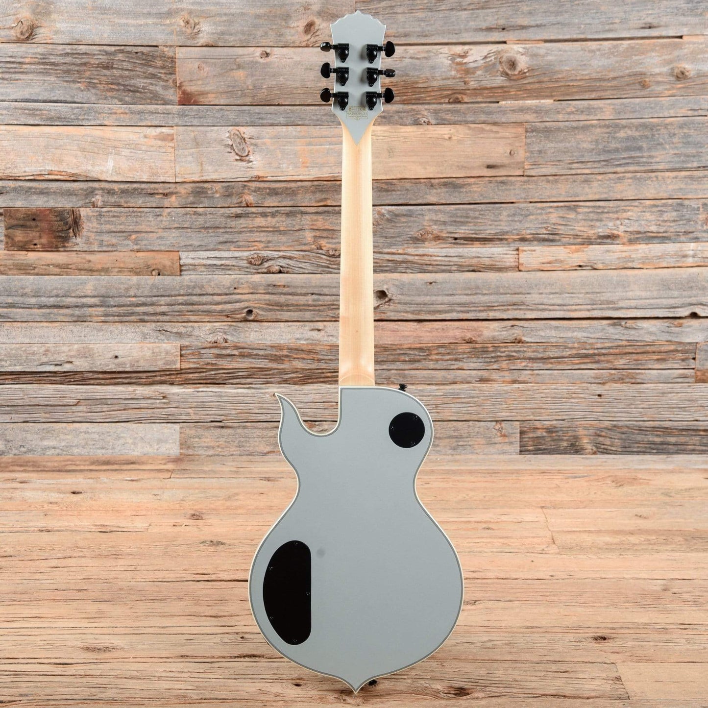 Wylde Audio Odin Grail Silver 2020 Electric Guitars / Solid Body